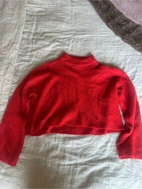Divided Red Cropped Turtleneck Sweater